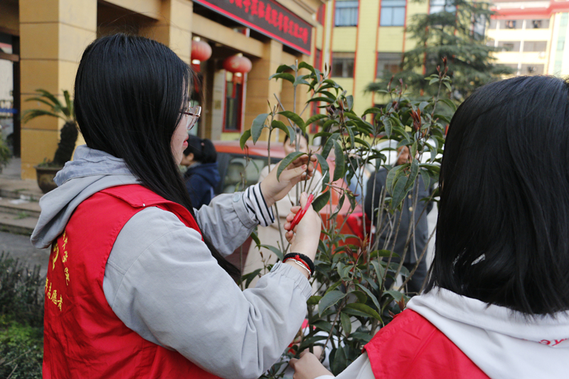_MG_3920.jpg
