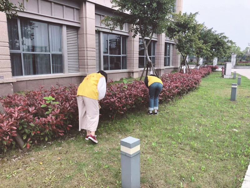 微信图片_20190505152322_副本.jpg